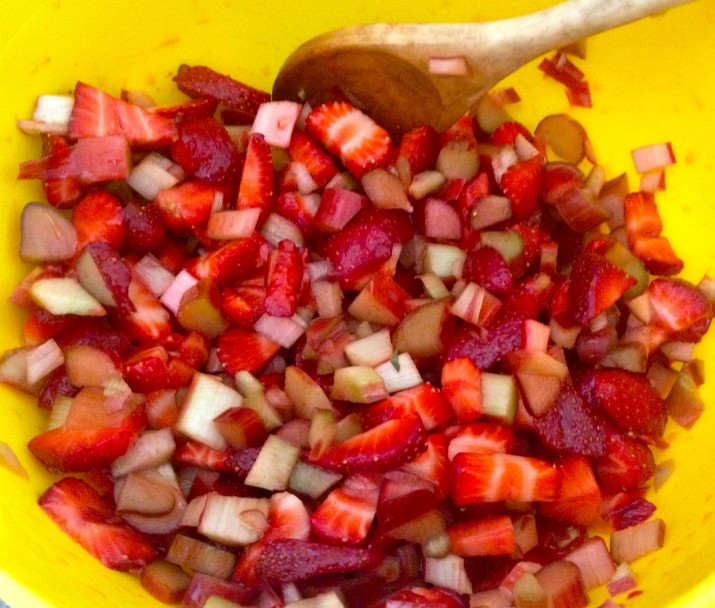 Chopped Strawberries and Rhubarb Mixed with Agave